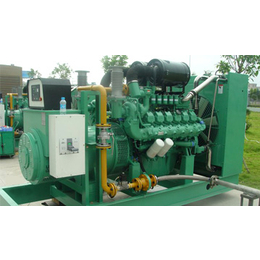 小型燃气发电机组-济南瓦特-东乡族燃气发电机