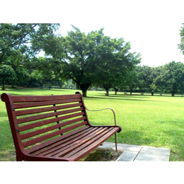 荣耀教学公司(图)|木质公园休闲椅加工|威海公园休闲椅