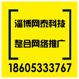 滨州网站优化软件、惠民网站优化、淄博网泰科技