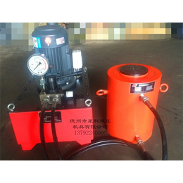 星科液压厂家供应-DSS电动泵-DSS电动泵价格