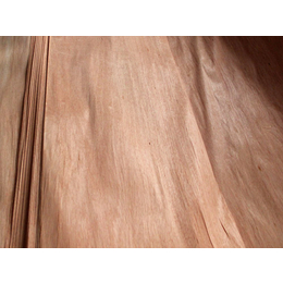 ****红橄榄面皮厂家价格-临沂勇新木业板材厂