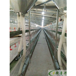 鲁兴农牧|市南区肉鸡笼设备厂