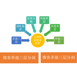 石家庄会员管理软件定制 双轨*会员结算系统开发