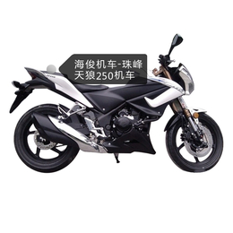 豪爵GW250订车-豪爵GW250-【海俊机车】服务至上