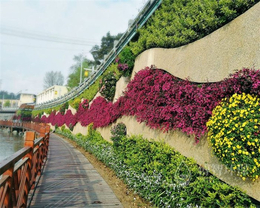 室内植物墙-博智环保(在线咨询)-哈尔滨植物墙