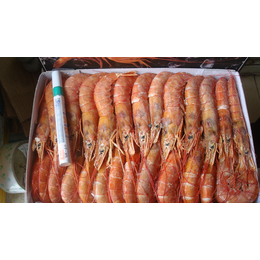 阿根廷红虾进口海运时效