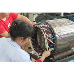 大中型高低压电机工作原理、无锡沐宸、宁夏大中型高低压电机