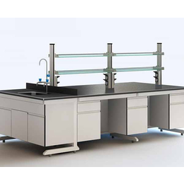 安徽倍尚实验室设备厂-池州实验室家具-钢木实验室家具