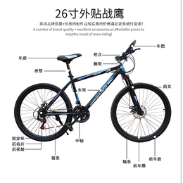广州自行车批发、20寸自行车批发、建林自行车厂(****商家)