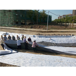 河南膨润土防水毯-唐能-河南膨润土防水毯厂家