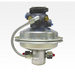 S-216-J系列气驱液泵选型表_特力得代理国外元件