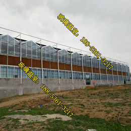 建玻璃温室大棚的公司|连栋玻璃温室大棚造价|滨州玻璃温室