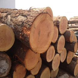 铁杉木材加工厂|安康木材加工厂|日照国鲁木业