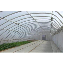 温室大棚工程、通达农业、陕西温室大棚