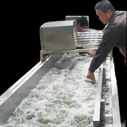 气泡蔬菜清洗机|赛特机械(在线咨询)|吐鲁番清洗机