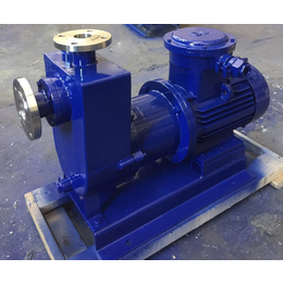 ZCQ65-50磁力泵|鹤岗磁力泵|跃泉泵业(查看)