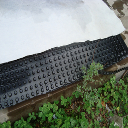 四川塑料排水夹层板南充房地产车库排水板土工布