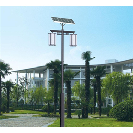 10米太阳能路灯价格,魏县太阳能路灯,优发新能源科技供应商