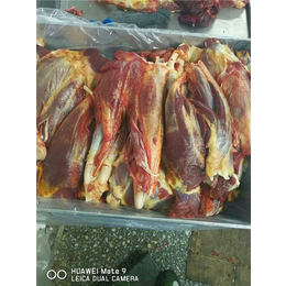 进口马肉供应商|宁津双星招商加盟|进口马肉