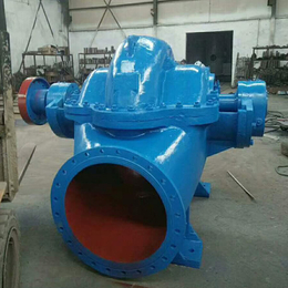 新楮泉水泵厂-吐鲁番SH蜗壳式双吸泵批发