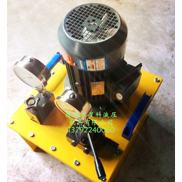 星科液压品质保障-河池电动泵-DSD电动泵