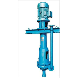 孝感6PNL立式泥浆泵图片-东蓝泵业(在线咨询)