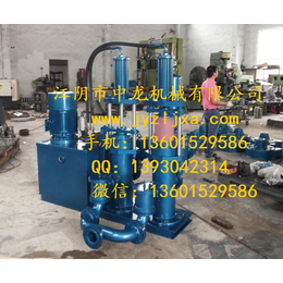 江西YB系列油压陶瓷柱塞泵,中龙机械有限公司