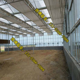 河南玻璃温室大棚工程|玻璃温室大棚|金盟温室