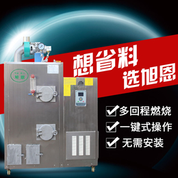  广东生物质颗粒燃料蒸汽发生器锅炉工业商用全自动锅炉蒸发器
