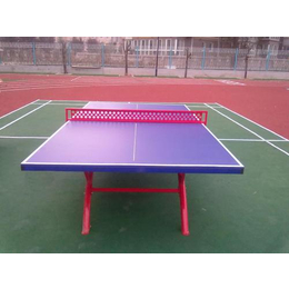 武汉乒乓球台_征途体育公司_折叠式乒乓球台制作
