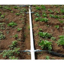 农用滴灌管|格莱欧节水设备|永州农用管