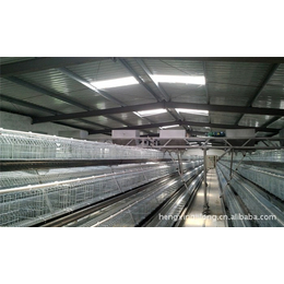 吉特佳鸡笼养殖设备(图),蛋鸡笼厂,山东蛋鸡笼厂家