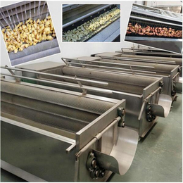 全自动蔬菜清洗机生产-诚达食品机械-惠州蔬菜清洗机