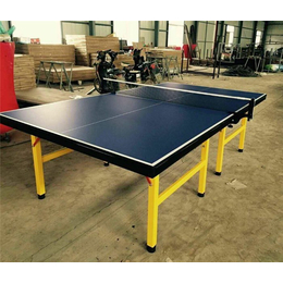 乒乓球台生产厂家推荐,六安乒乓球台,益泰体育公司(查看)