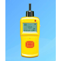 氯甲一烷气体监测内置泵便携式检测仪