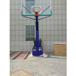 社区用液压篮球架参数|庚宸体育公司|防城港液压篮球架