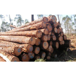进口非洲木材需要什么手续-木材进口清关的操作流程