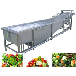 蔬菜气泡清洗机供应商|辽宁蔬菜气泡清洗机|泰昊机械