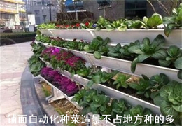 三明自动化种菜种花-华因机电-设计安装阳台自动化种菜种花