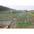 迪庆果园灌溉设备*|润成节水灌溉|迪庆果园灌溉设备缩略图1