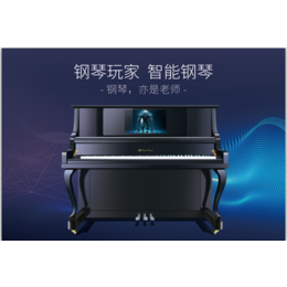 钢琴培训课程_番禺区钢琴培训_钢琴玩家*