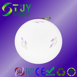STJY LED吸顶灯24W降功率一体化应急电源