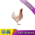 广州海兰灰|华兴种禽鸡合作社|海兰灰蛋鸡苗缩略图1