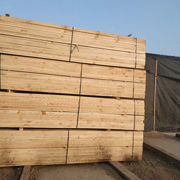 辐射松方木加工厂推荐-国通木材-辐射松方木加工厂