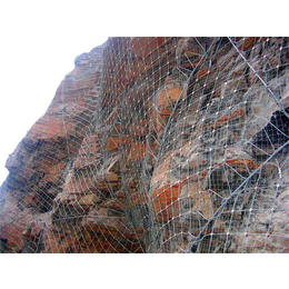 山体滑坡防护网|防护网|河道边坡防护网