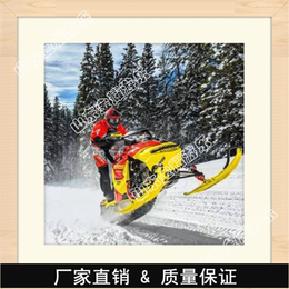 洛阳城里花如雪 雪地摩托车 戏雪乐园设备 雪地转转
