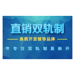 双轨制*软件会员报单系统奖金软件网站设计研发缩略图