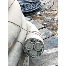 唐山废旧电缆线回收-宥泰(在线咨询)-废旧电缆线回收