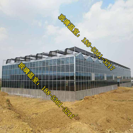 酒泉玻璃温室大棚生产厂家|玻璃温室|玻璃温室的建造条件(图)