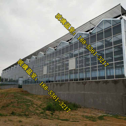 玻璃温室_玻璃温室大棚建造周期_宁夏控温玻璃温室大棚造价